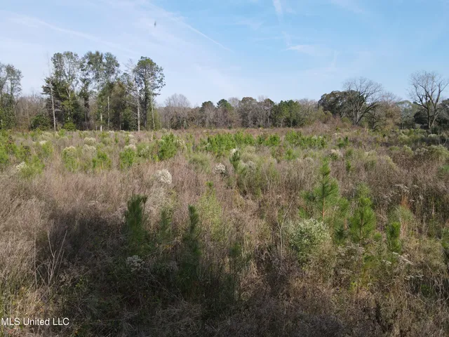 $325,000 | 134 Dale Drive, Hazlehurst, MS 39083