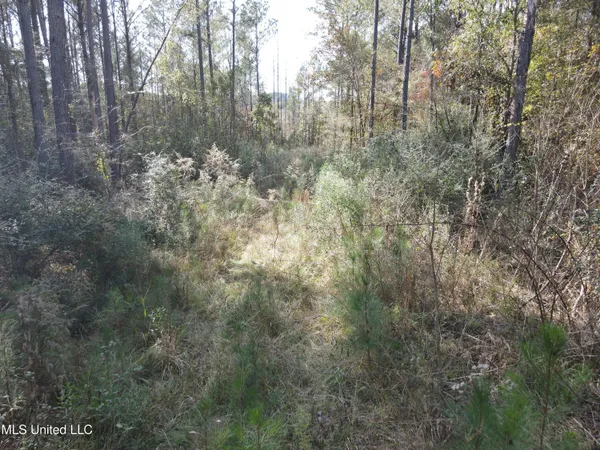 $325,000 | 134 Dale Drive, Hazlehurst, MS 39083