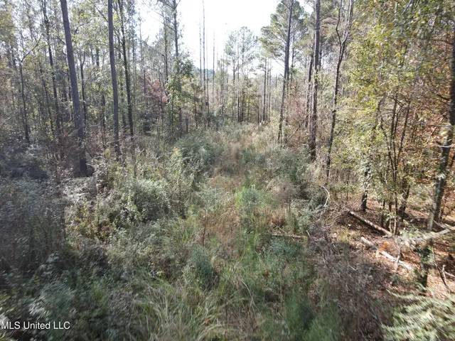 $325,000 | 134 Dale Drive, Hazlehurst, MS 39083