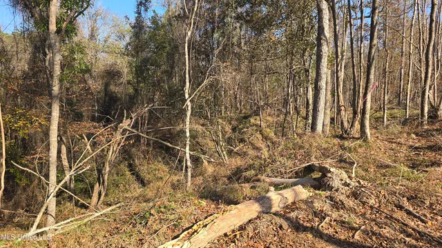 $325,000 | 134 Dale Drive, Hazlehurst, MS 39083