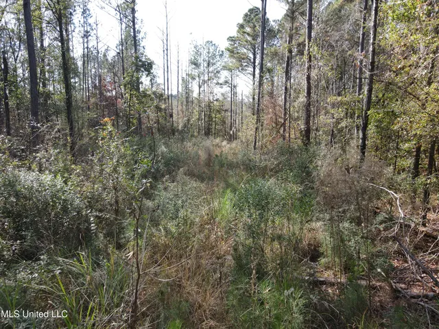 $325,000 | 134 Dale Drive, Hazlehurst, MS 39083