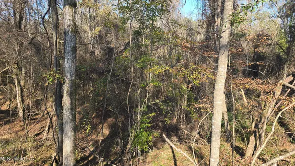 $325,000 | 134 Dale Drive, Hazlehurst, MS 39083