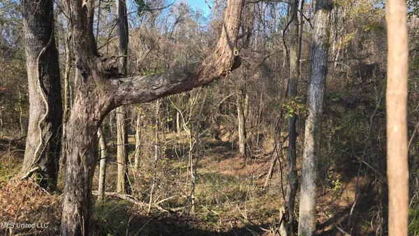 $325,000 | 134 Dale Drive, Hazlehurst, MS 39083