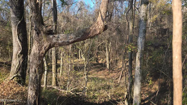 $325,000 | 134 Dale Drive, Hazlehurst, MS 39083