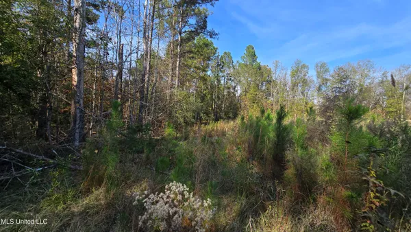 $325,000 | 134 Dale Drive, Hazlehurst, MS 39083