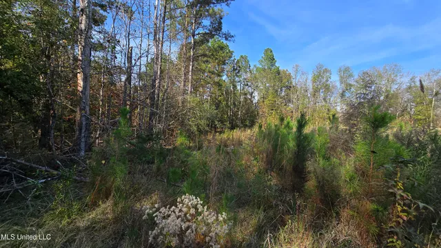 $325,000 | 134 Dale Drive, Hazlehurst, MS 39083