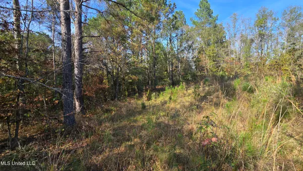 $325,000 | 134 Dale Drive, Hazlehurst, MS 39083