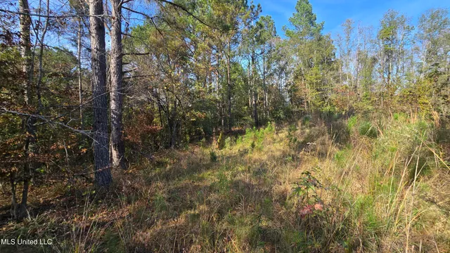 $325,000 | 134 Dale Drive, Hazlehurst, MS 39083