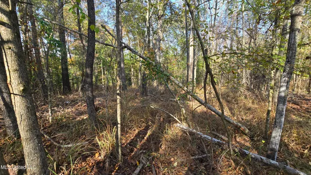 $325,000 | 134 Dale Drive, Hazlehurst, MS 39083