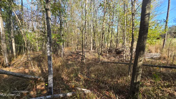 $325,000 | 134 Dale Drive, Hazlehurst, MS 39083