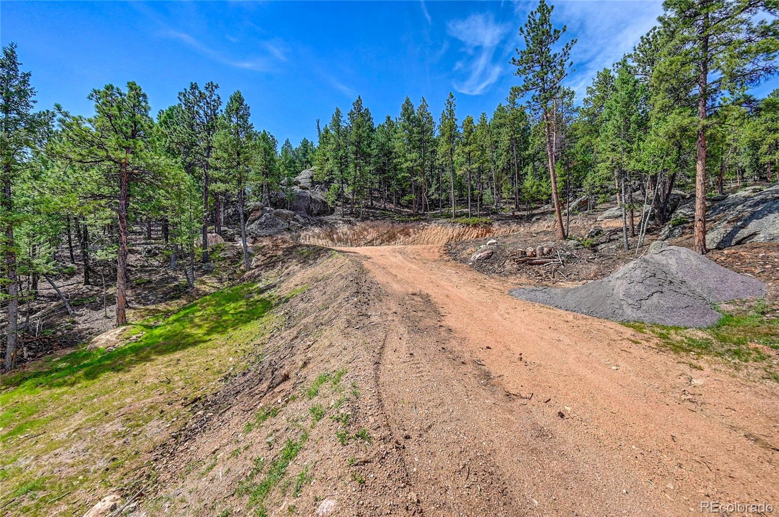 4501 County Road 72 Bailey, CO 80421 - Photo 5 of 14