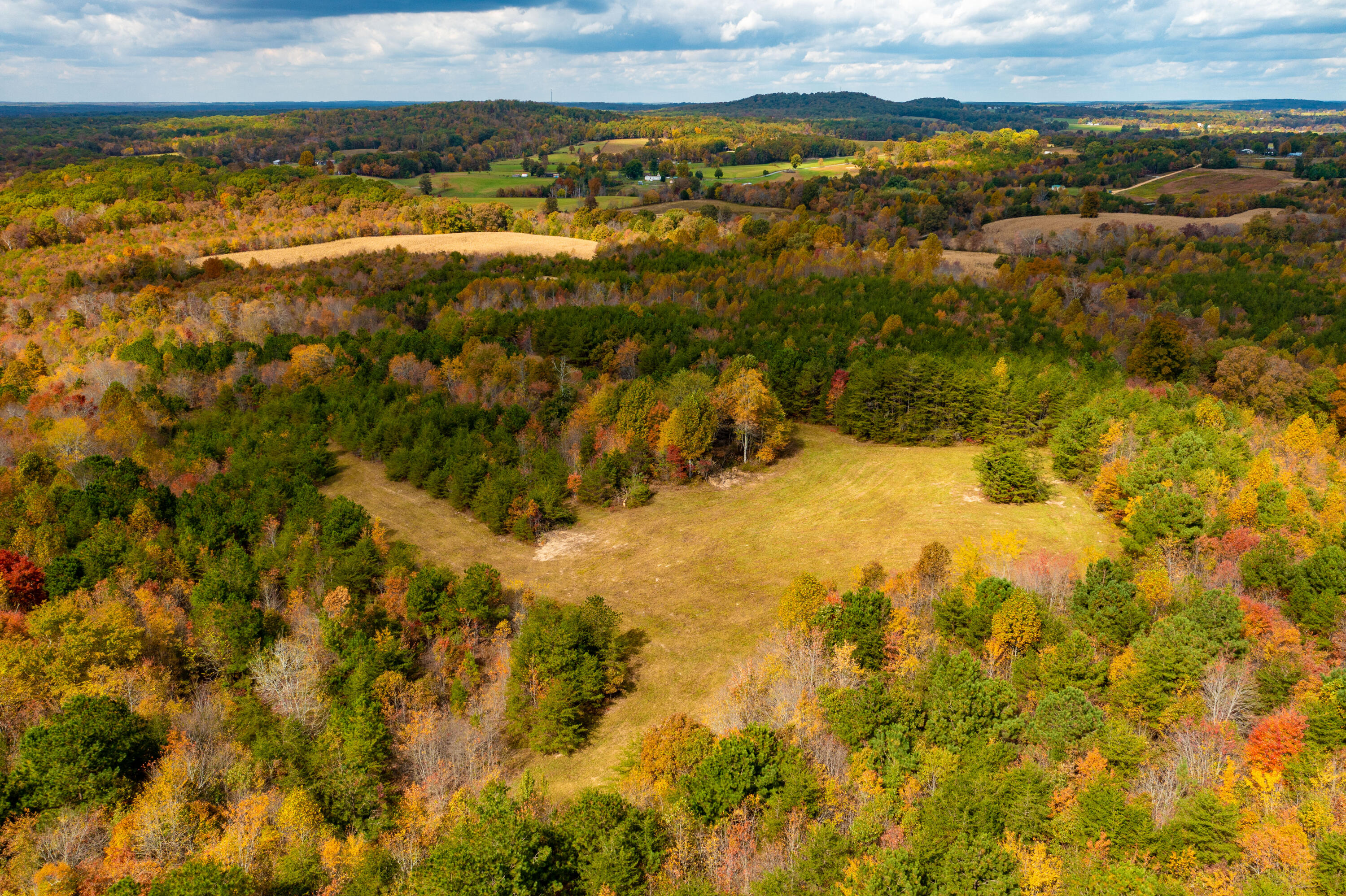 0 Watson Loop Pikeville, TN 37367 - Photo 1 of 9 DJI_0230 - Copy