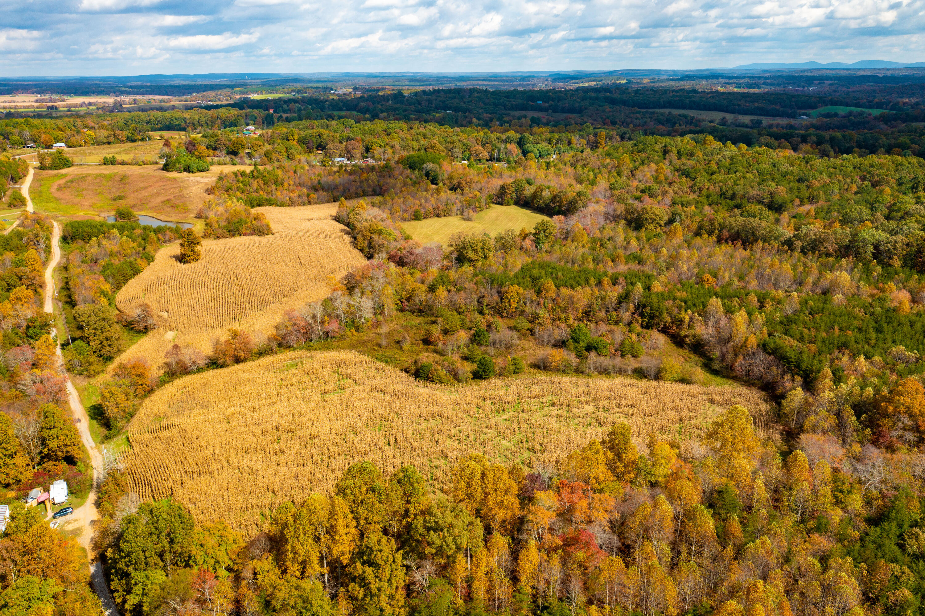 0 Watson Loop Pikeville, TN 37367 - Photo 3 of 9 DJI_0203 - Copy