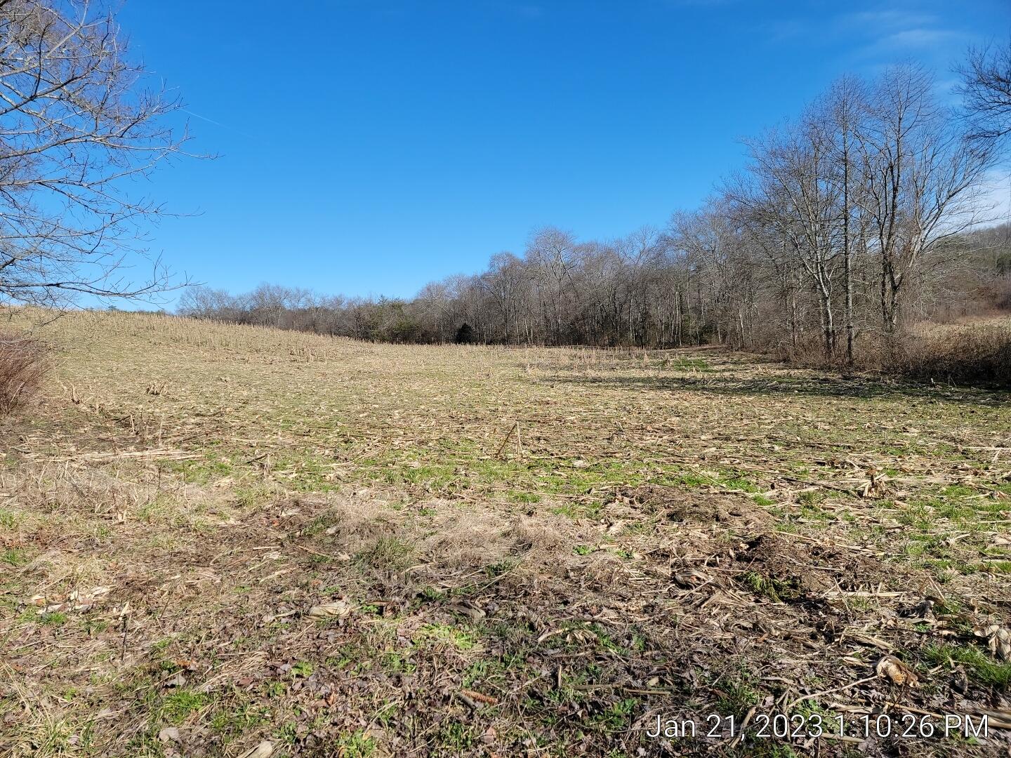0 Watson Loop Pikeville, TN 37367 - Photo 5 of 9 IMG_20230121_131026 - Copy