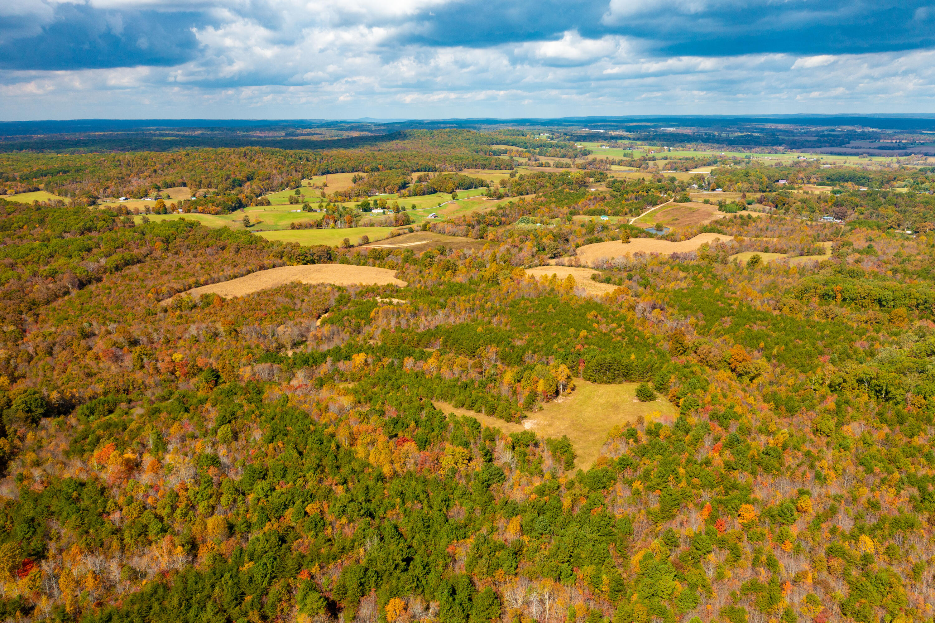 0 Watson Loop Pikeville, TN 37367 - Photo 6 of 9 DJI_0213