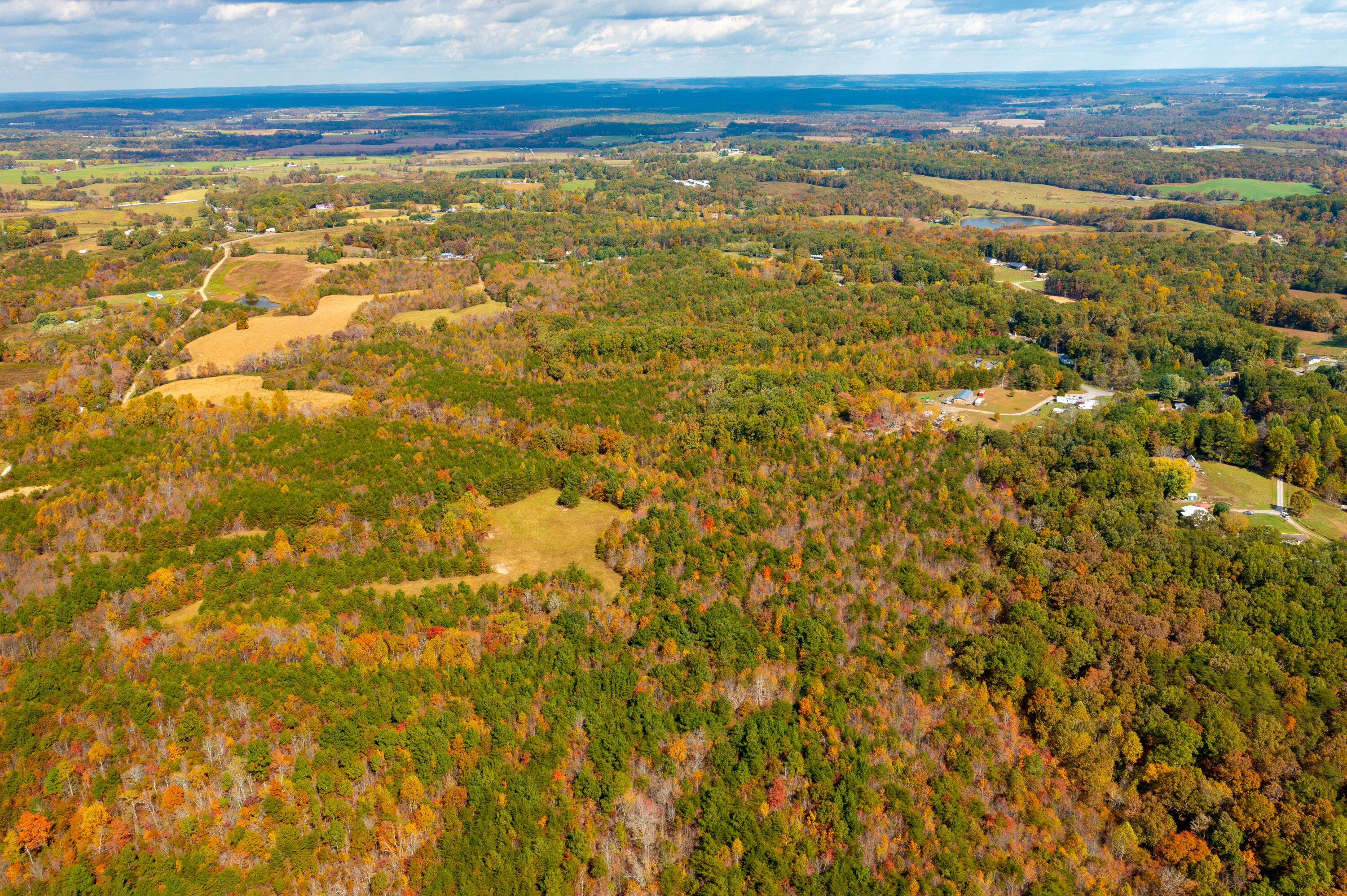 0 Watson Loop Pikeville, TN 37367 - Photo 7 of 9 DJI_0216