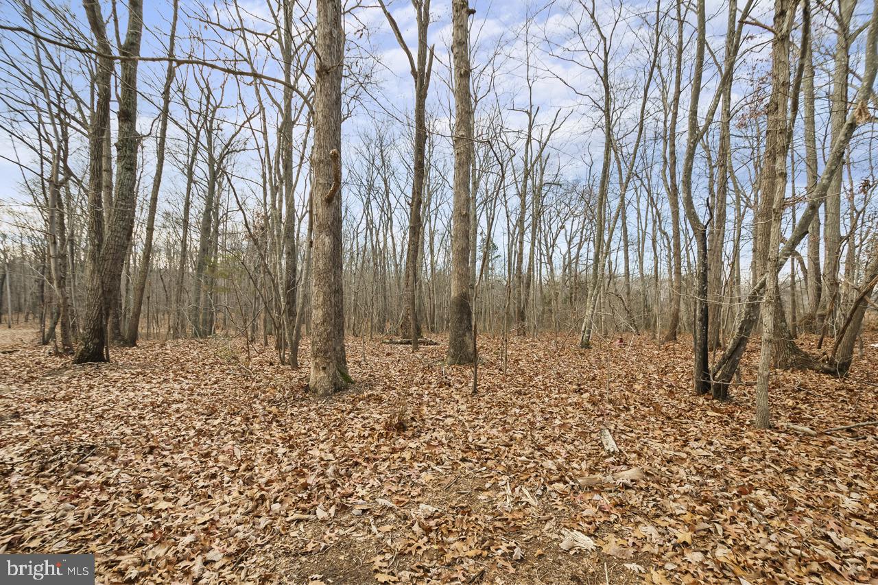 7389 Leeds Manor Road Marshall, VA 20115 - Photo 13 of 22