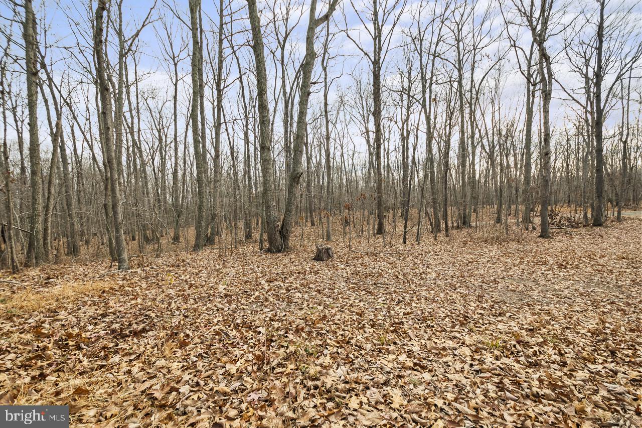 7389 Leeds Manor Road Marshall, VA 20115 - Photo 14 of 22