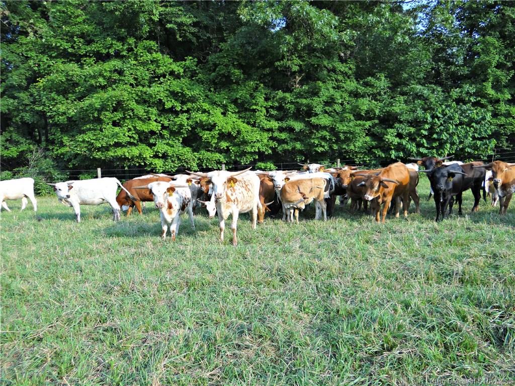 0 Heil Road, Unit 4 Henryville, IN 47126 - Photo 26 of 38