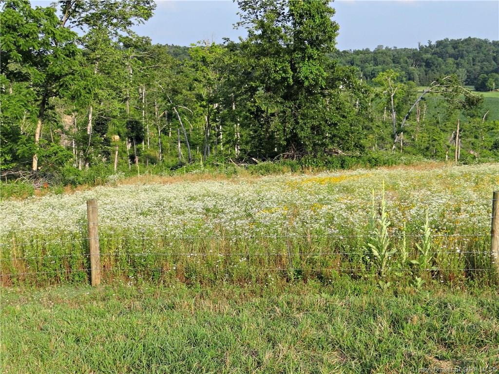 0 Heil Road, Unit 4 Henryville, IN 47126 - Photo 30 of 38