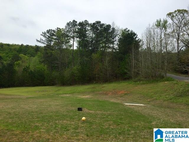 0 Quail Ridge Road, Unit 1 Oneonta, AL 35121 - Photo 6 of 18