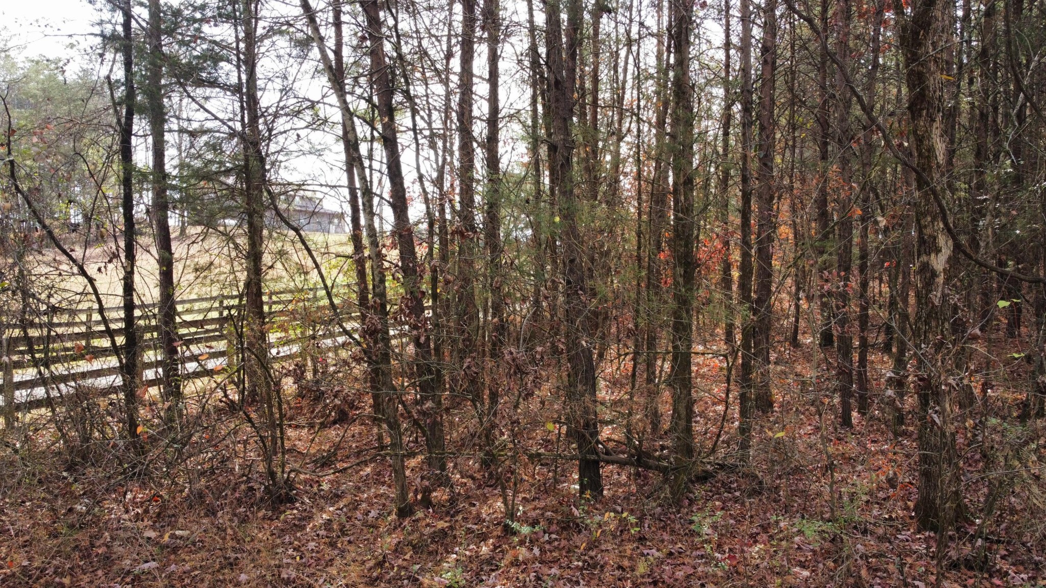 0 Wooten Road Delano, TN 37325 - Photo 5 of 27 Gallery Image 5