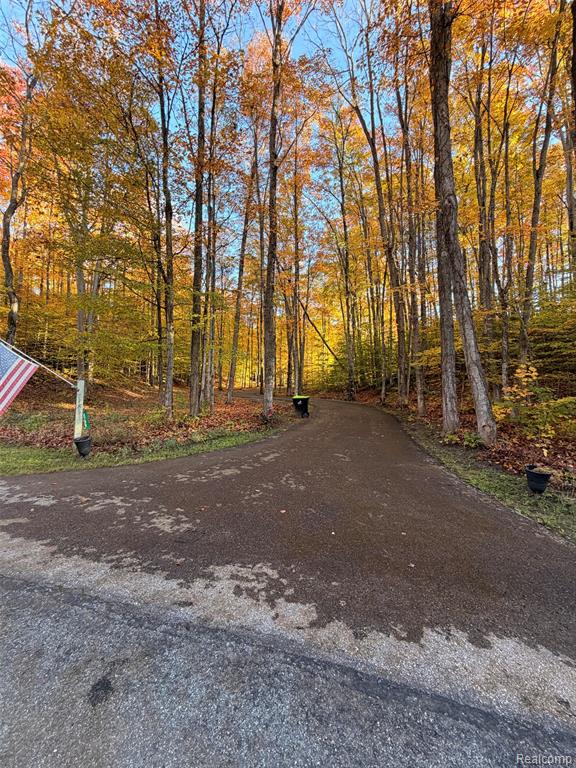 6788 East Hoxie Road Cedar, MI 49621 - Photo 19 of 78