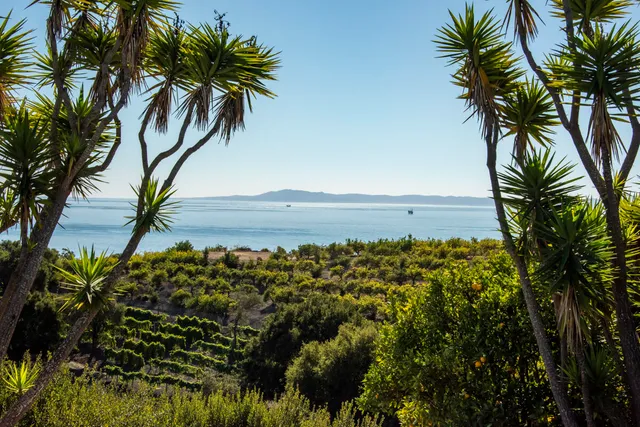 a view of a yard with lawn chairs