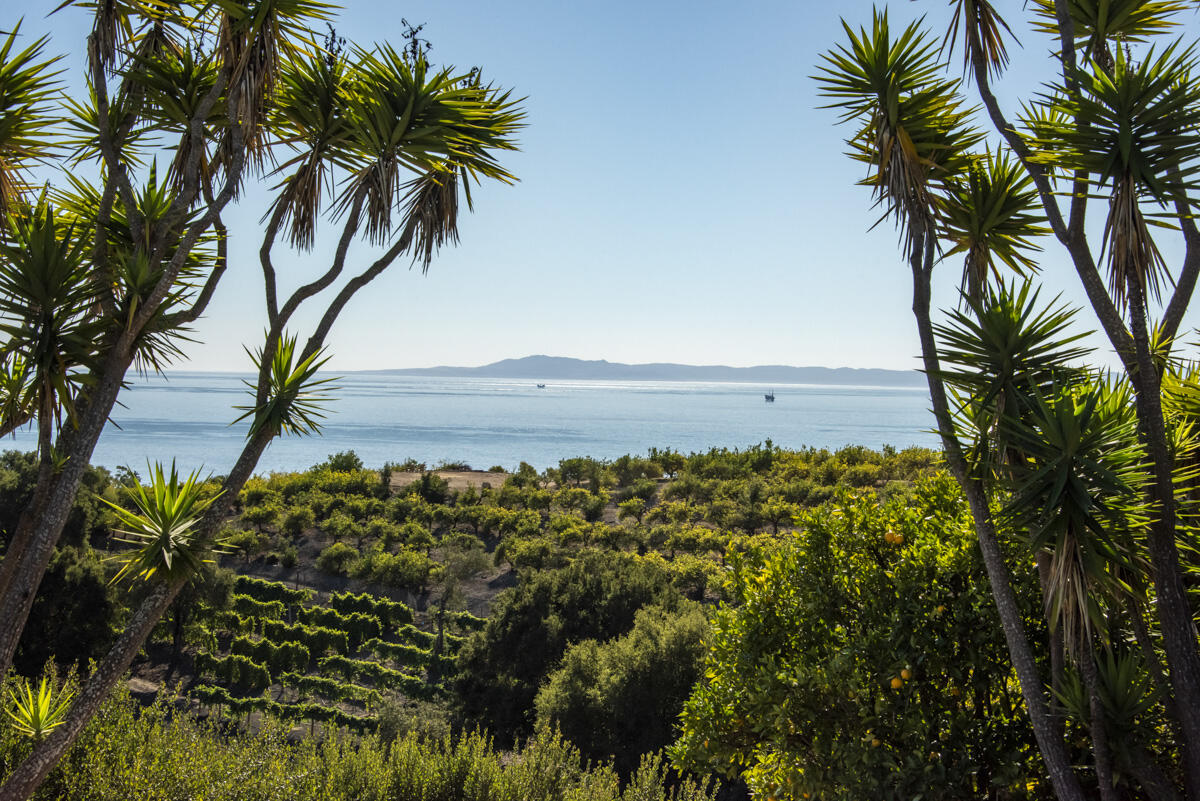 0 Ortega Ridge Santa Barbara, CA 93108 - Photo 25 of 33 .