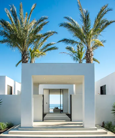 a view of a house with a palm tree