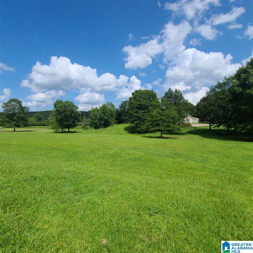 35 Crestwood Way Ragland, AL 35131 - Photo 44 of 47
