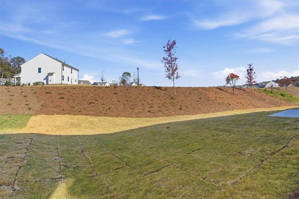 129 Bloomfield Circle Canton, GA 30114 - Photo 32 of 36