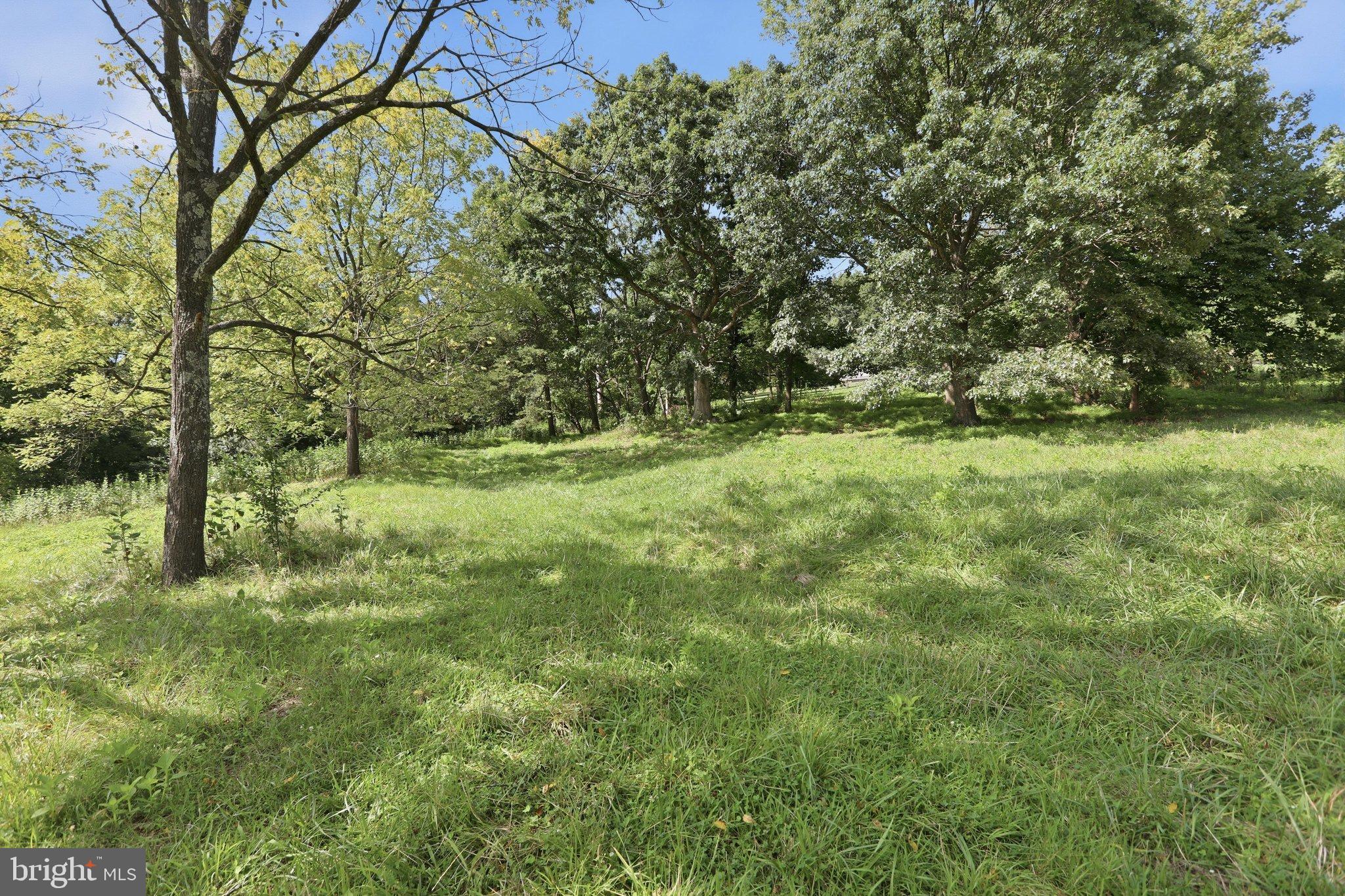 847 Jonathan Road Linden, VA 22642 - Photo 10 of 49 Gallery Image 10