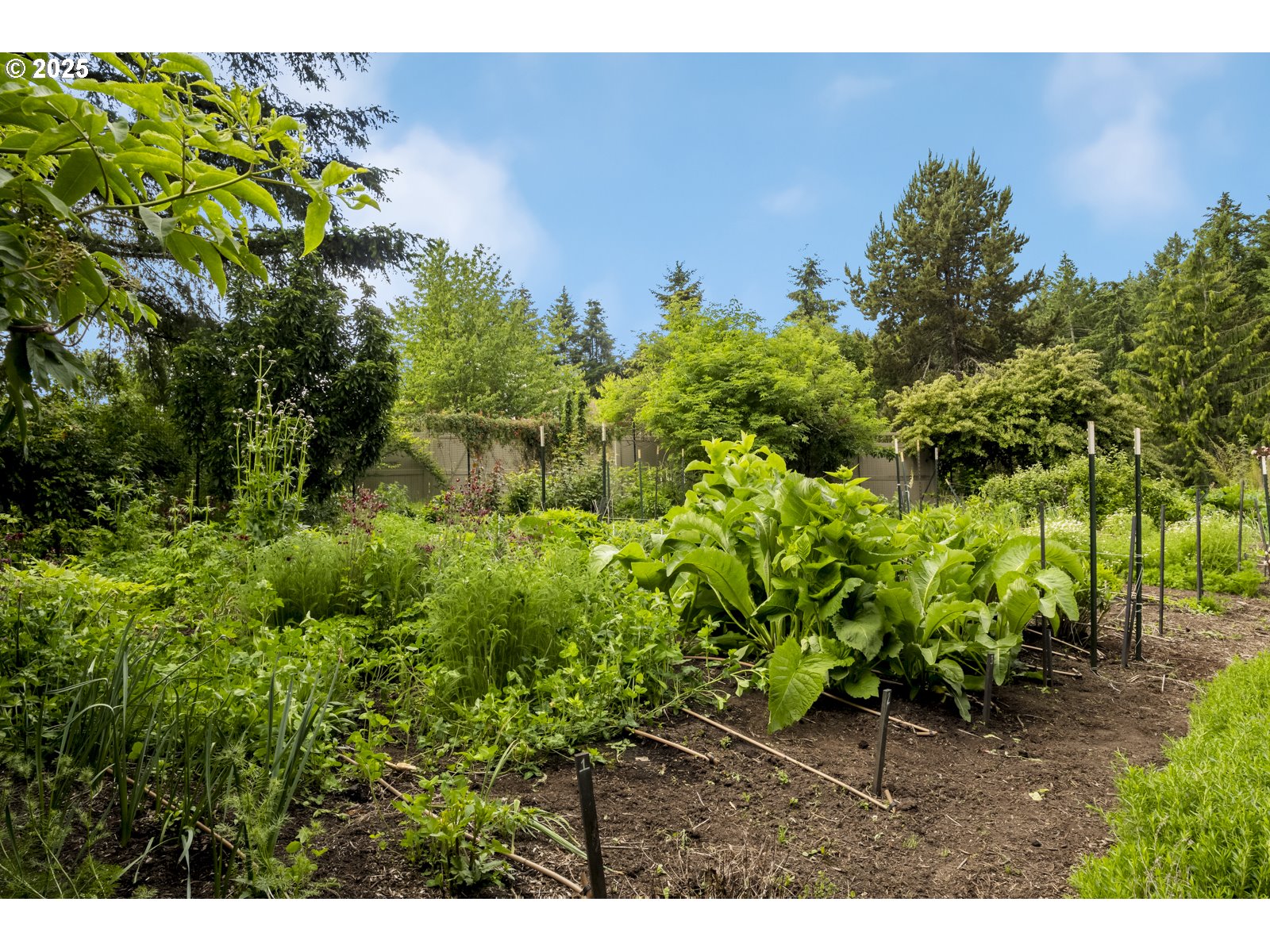 10623 Northeast Fox Farm Road Dundee, OR 97115 - Photo 20 of 47