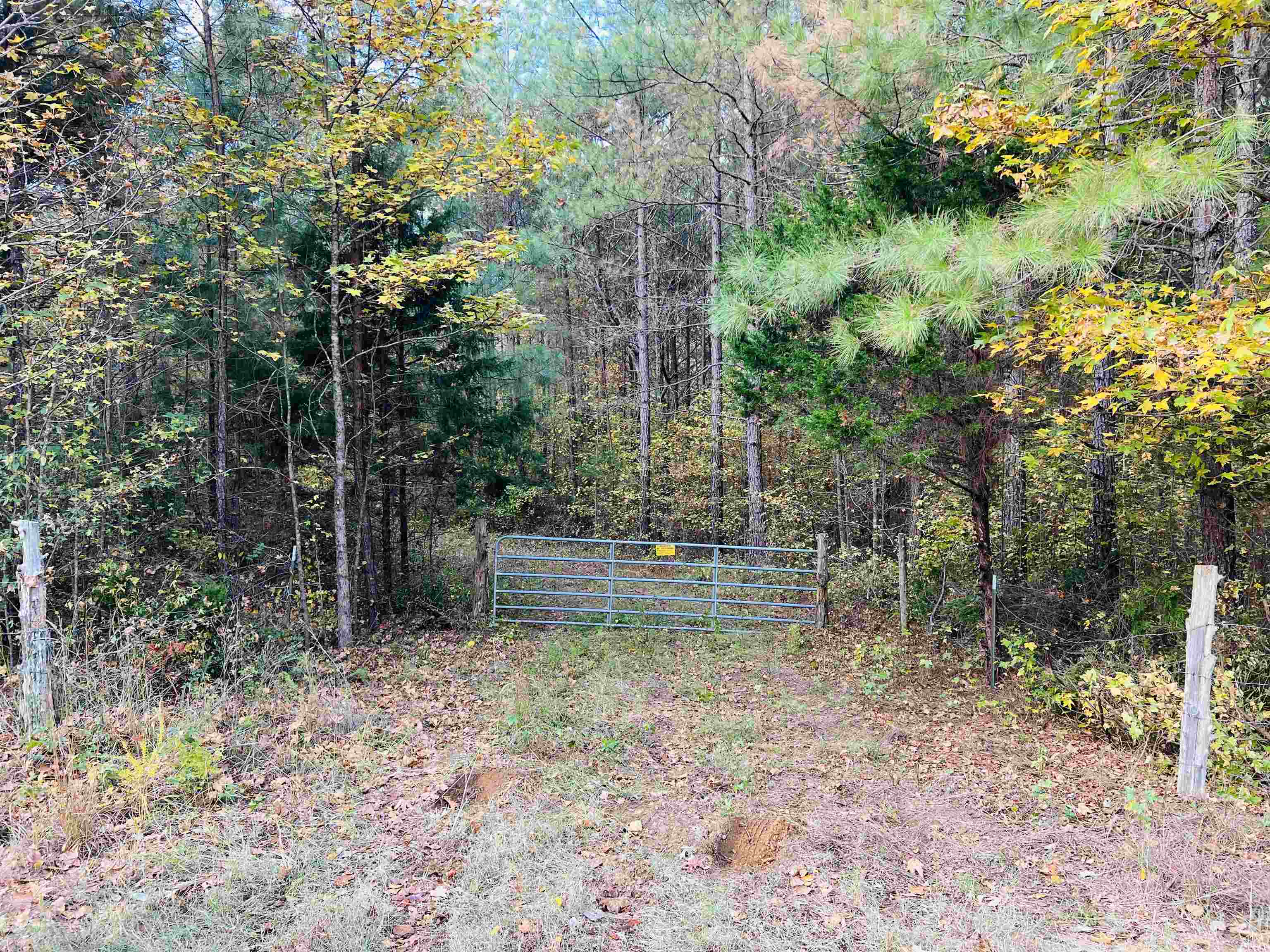 10338 Finger Leapwood Road Adamsville, TN 38310 - Photo 4 of 24 Gallery Image 4