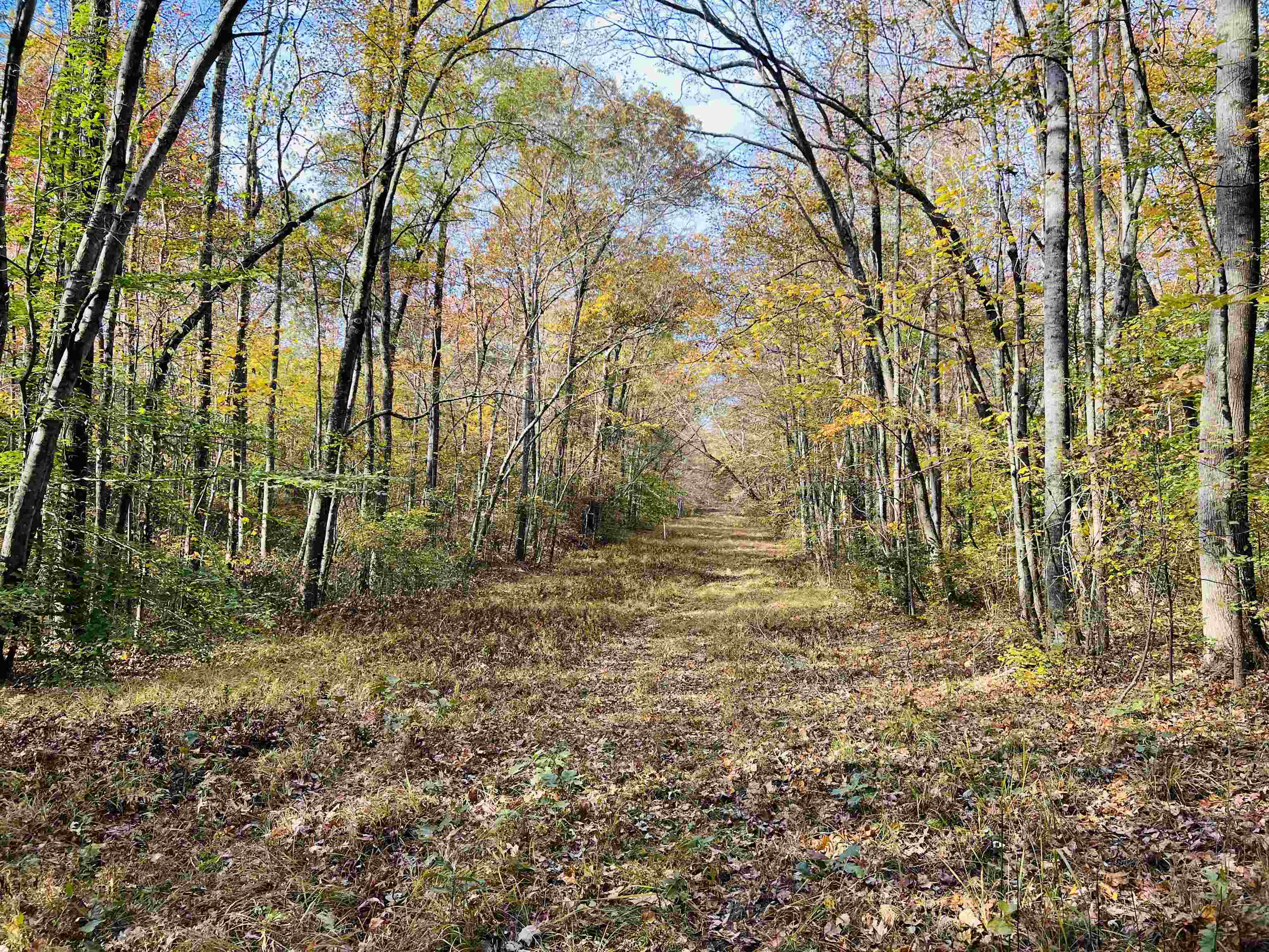10338 Finger Leapwood Road Adamsville, TN 38310 - Photo 10 of 24 Gallery Image 10