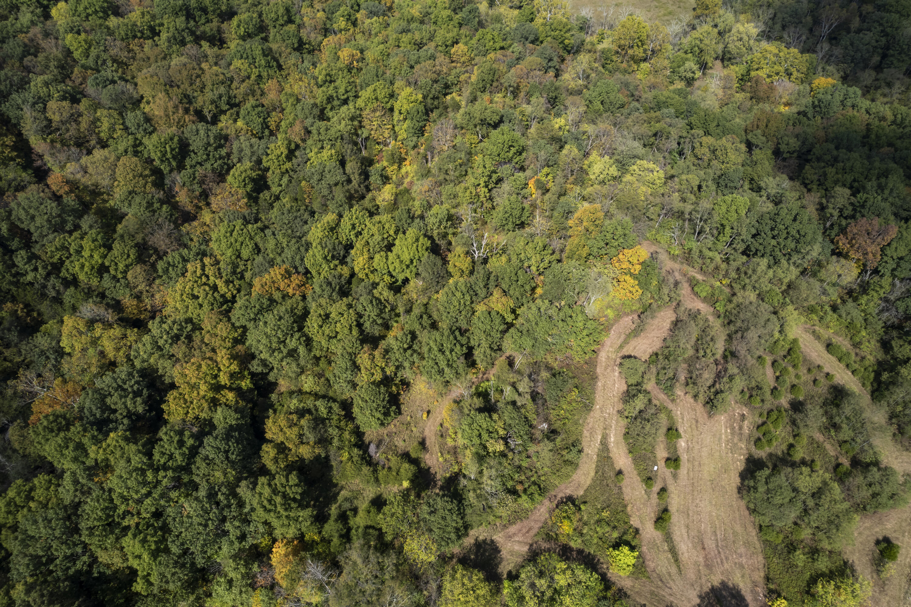 77-ac Clarks Crk Road Dry Ridge, KY 41035 - Photo 8 of 31