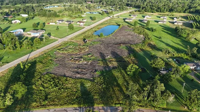 a view of a city with tall trees