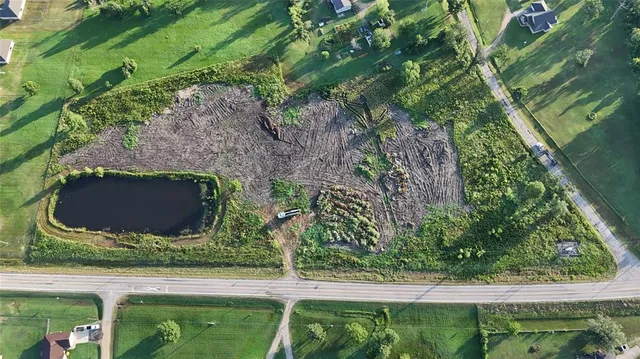 a view of a garden with plants