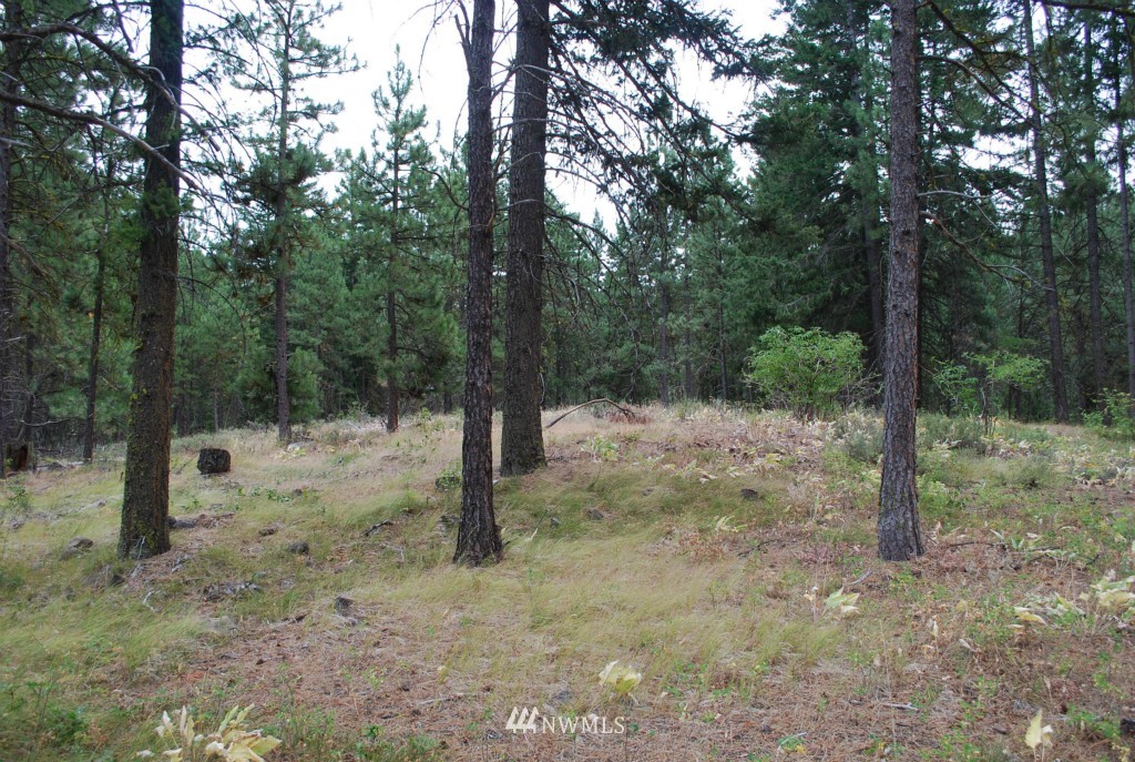 3461 Emerick Road Cle Elum, WA 98922 - Photo 7 of 14 Gallery Image 7