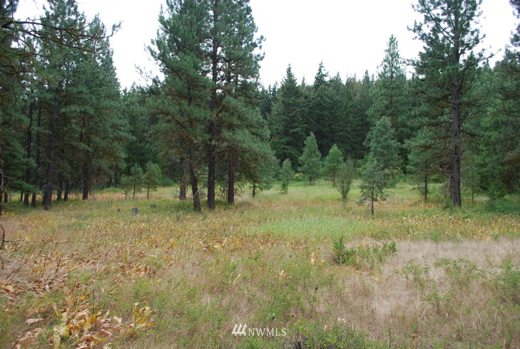 3461 Emerick Road Cle Elum, WA 98922 - Photo 8 of 14 Gallery Image 8