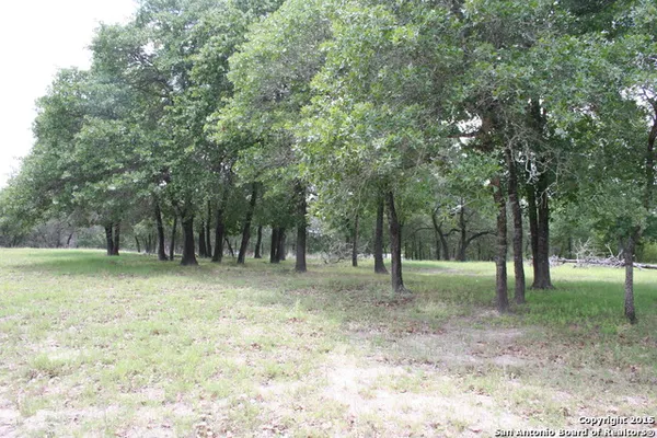 $2,000 | 718 Cherry Ridge, Floresville, TX 78114