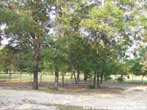 718 Cherry Ridge Floresville, TX 78114 - Photo 21 of 26