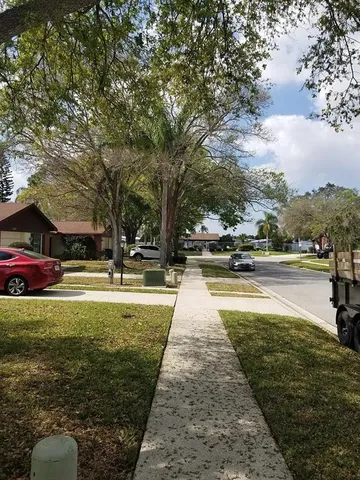 a park view with large trees