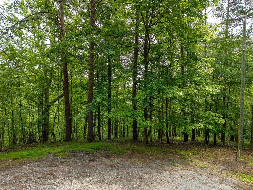 1331 Birch Lane Ranger, GA 30734 - Photo 2 of 43