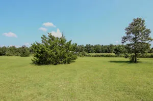 a view of a green field with trees in the background