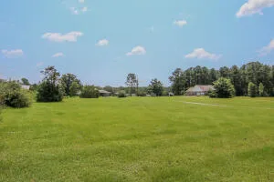 a view of a green field with clear sky
