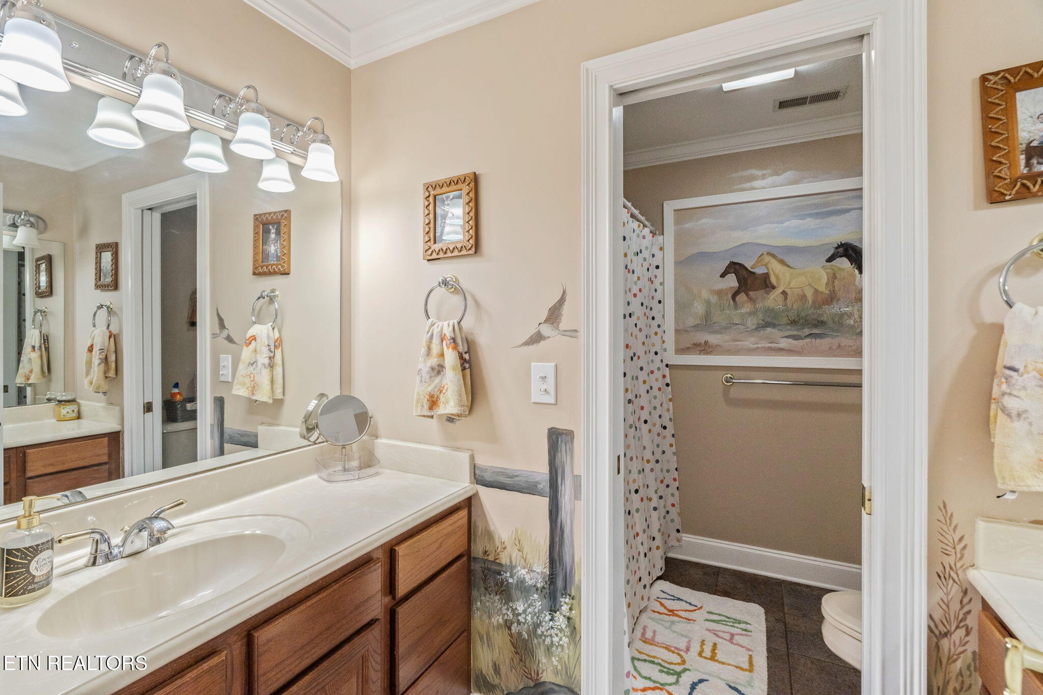 2572 Little Valley Road Loudon, TN 37774 - Photo 30 of 57 a en suite bathroom with a shower sink and mirror