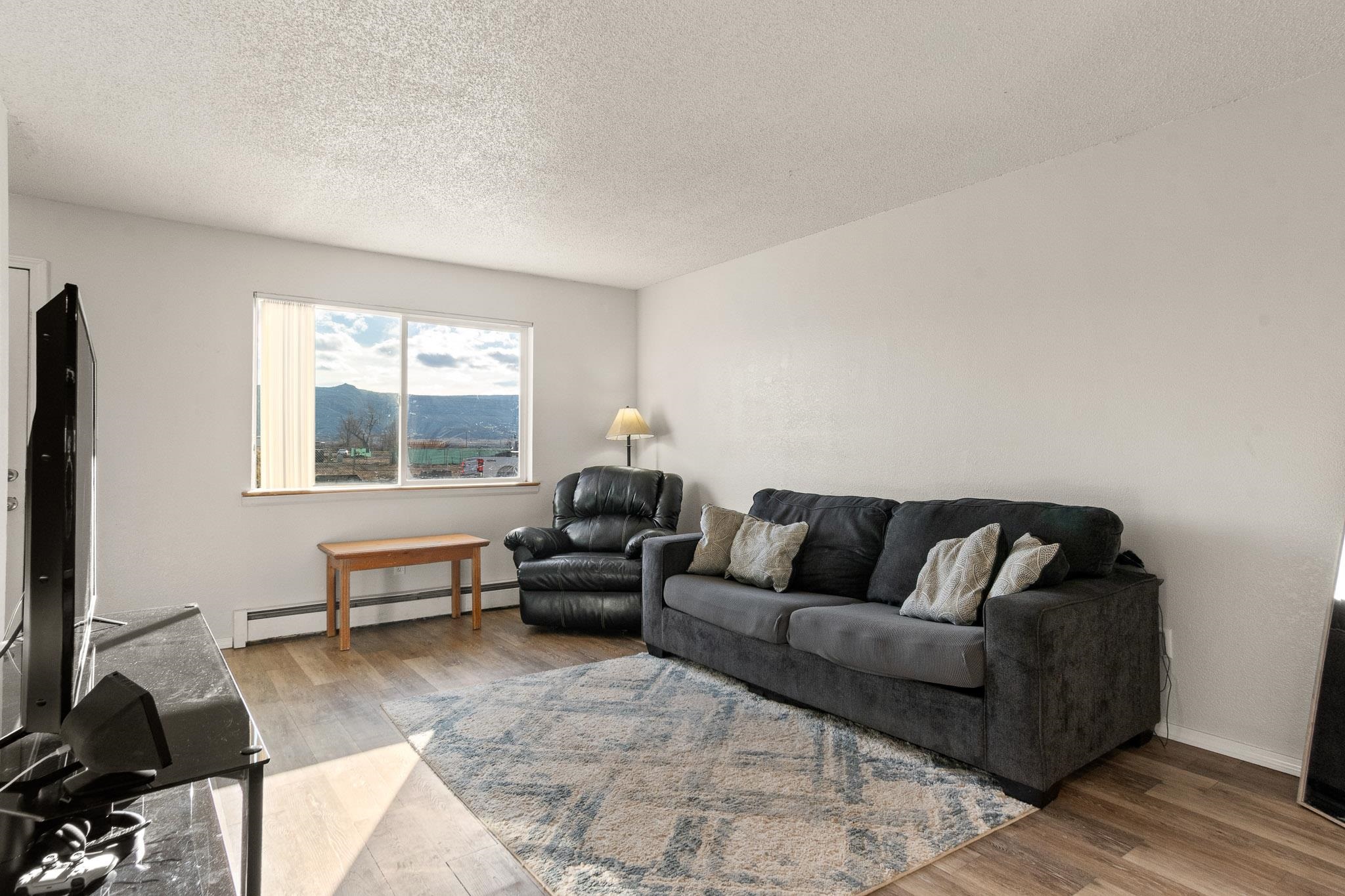 559 West Pabor Way, Unit 4 Fruita, CO 81521 - Photo 4 of 16 a living room with furniture and a flat screen tv