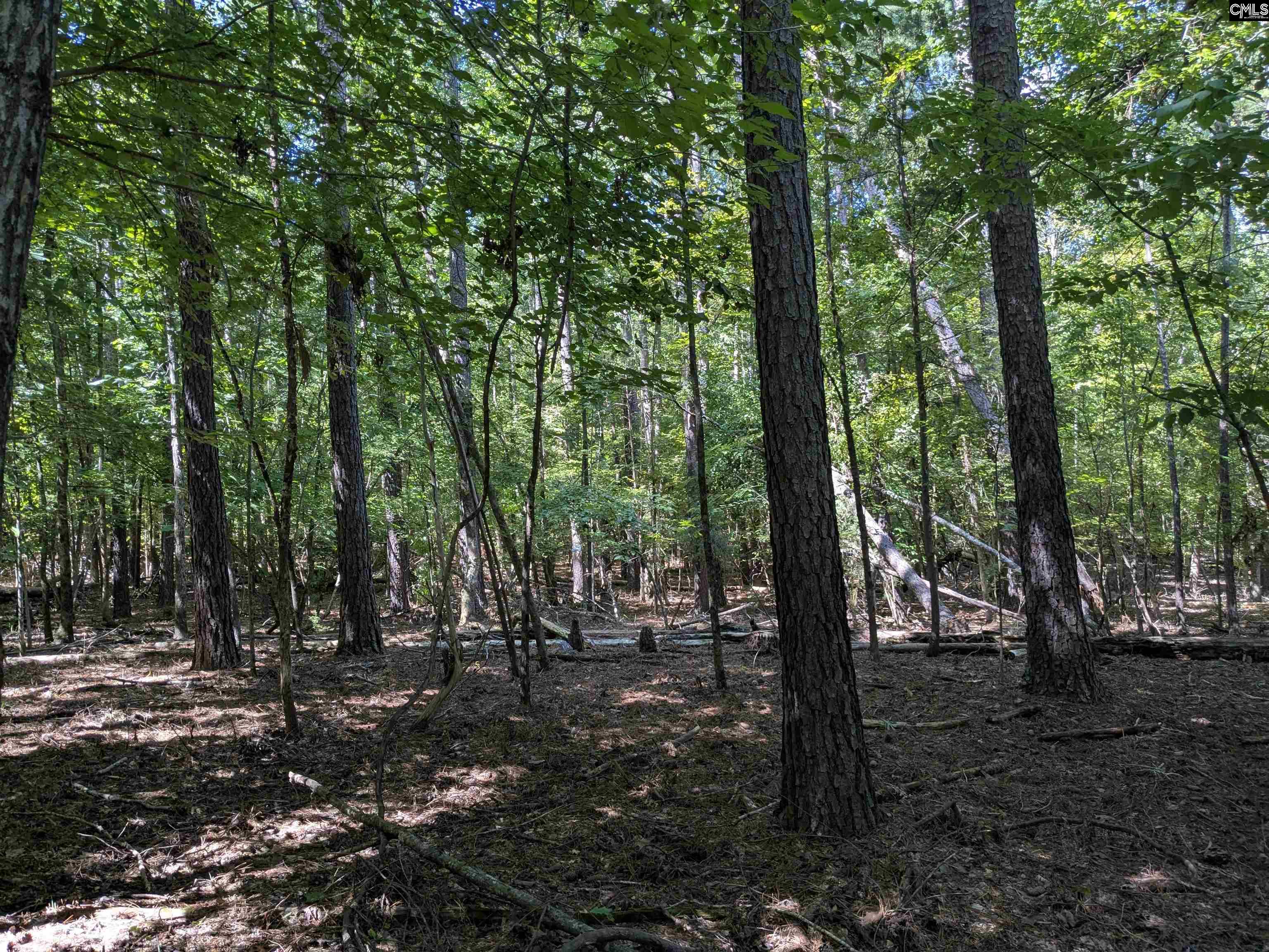 0 Taylor Road Batesburg, SC 29006 - Photo 12 of 20